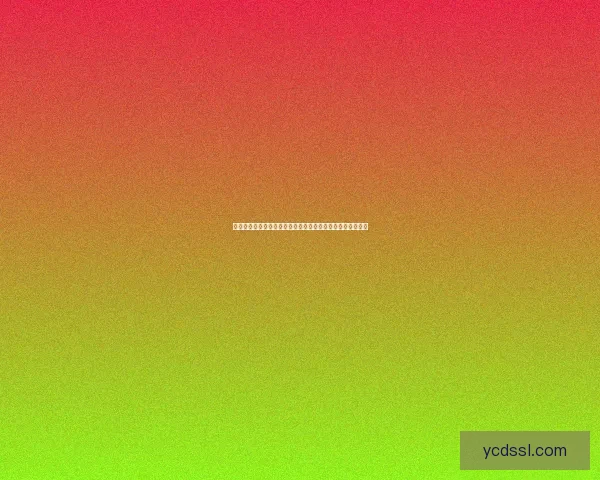 摩尔勇士与忽悠猫携手冒险探秘神秘世界共解谜团的奇幻旅程